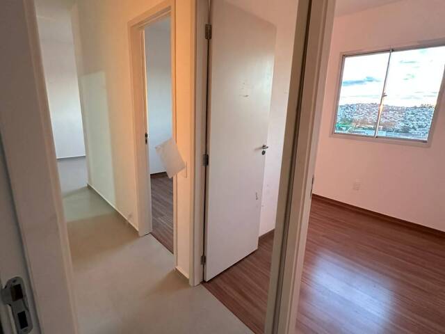 Apartamento para Locação em Belo Horizonte - 5